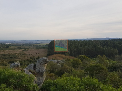 Imagen 8 de 14 de Chacra 10 Hás En Garzón