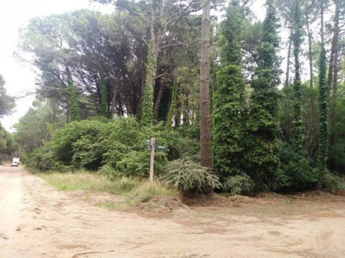 Imagen 3 de 6 de Carilo Lote De Terreno Sobre Ñandú