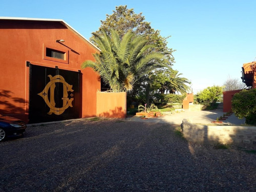 Imagen 3 de 7 de Bodega Con Casona, Coquimbito - Ruta Del Vino