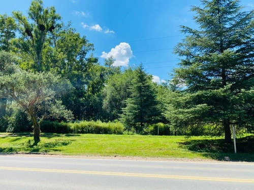 Venta De 6 Hectareas Sobre Ruta N5 En Villa General Belgrano - Inv0066