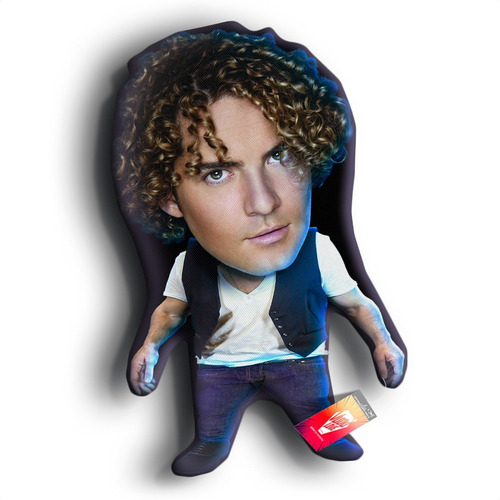 Imagen 1 de 1 de Cojín Peluche David Bisbal Chiquito 40cm Vudú Love