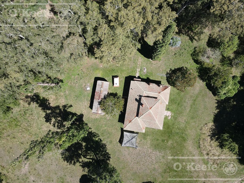 Campo Mixto En Venta De 228 Has Sobre Ruta 29 -en Brandsen