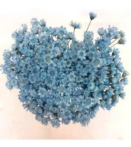 Imagem 1 de 2 de Sempre Florzinha Viva Azul Bebê Flores Desidratadas