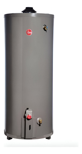 Rheem Termo A Gas Natural 190 Litros