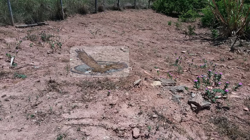 Terreno A Venda No Bairro Jardim Palladino Em Itatiba - Sp. - Te6776-1