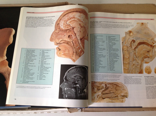 Gran Atlas De Anatomía Humana - Oceano Centrum 2 Tomos Caja
