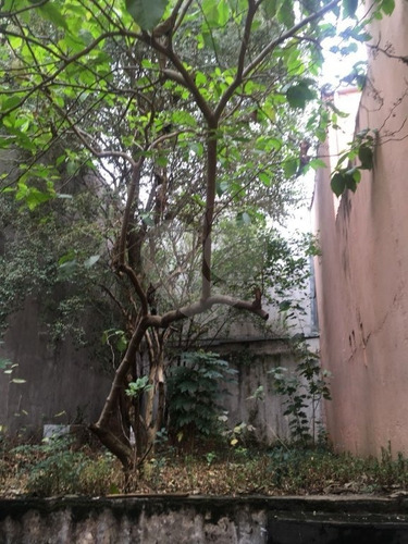 Imagem 21 de 22 de Terreno Na Voluntários - Próximo A Diversos Comércios - Reo338789