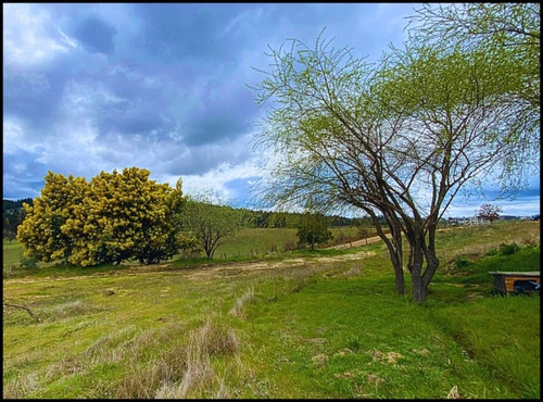 Hermosas Parcelas En Yumbel Con Casa Y Quincho Rust