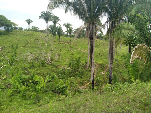 Imagen 2 de 5 de Finca En Barinas, Mun. Cruz Paredes
