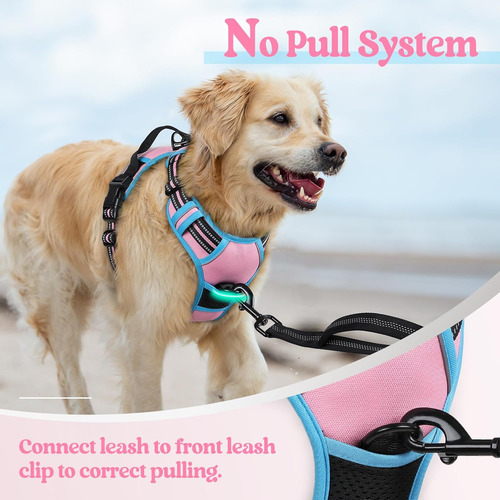 Arnés Para Perro Rabbitgoo Sin Tirones, Ajustable, Talla M