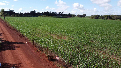 Imagem 1 de 5 de Área À Venda, 8000 M² Por R$ 960.000,00 - Imóvel Alwin - Foz Do Iguaçu/pr - Ar0014