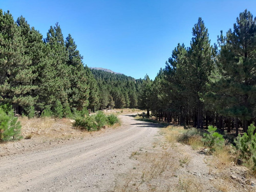 Terreno En El Desafio Mountain Resort, San Martin De Los Andes