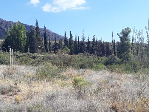 Venta Lote Blanco Encalada-ideal Desarro Turistico