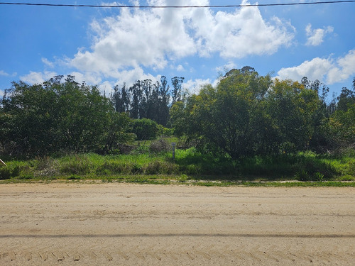 Hacienda Algarrobo, 5000 M2,portería, Rol, Red De Luz Y Agua