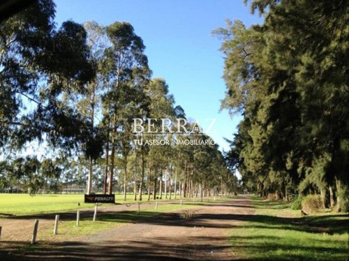 Imagen 3 de 20 de Venta Lote Santo Tomás Pilar