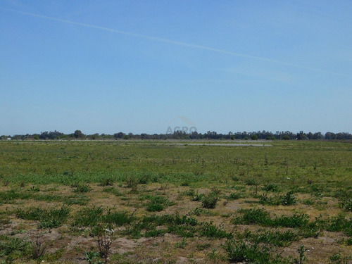 Imagen 16 de 27 de Lote - Venta - Praderas De Cardales - Alto Los Cardales - Zona Norte