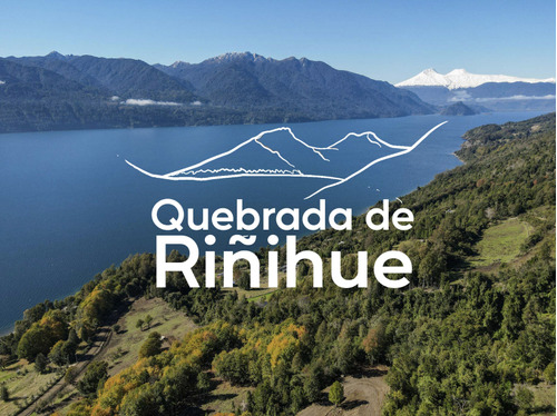 Sitios 5.000 M2 Venta En Lago Riñihue, Los Ríos