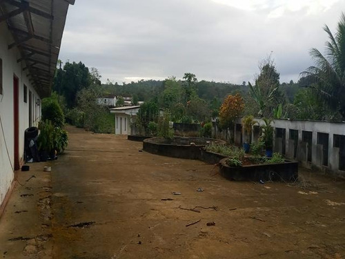 Fazenda - Sitio Com 6 Quartos, 10000m2, À Venda - Taboquinhas - Itacaré - Faz Uru