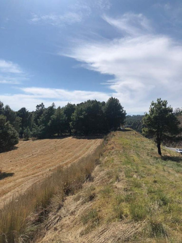 Imagen 4 de 24 de Terreno En Venta En Amanalco De Becerra, Amanalco, Edo. De México.