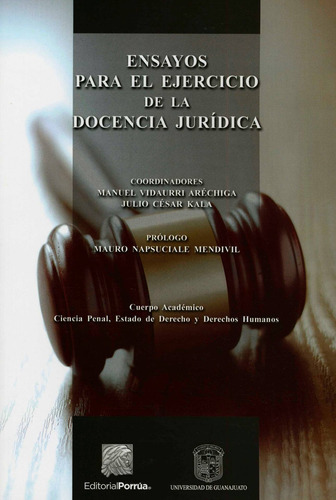 Ensayos Para El Ejercicio De La Docencia Juridica, De Vidaurri Arechiga, Manuel. Editorial Porrua, Tapa Rustica En Español
