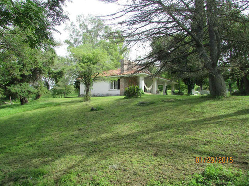 Imagen 8 de 30 de Se Venden 10 Ha En Valle Hermoso Con Servicios