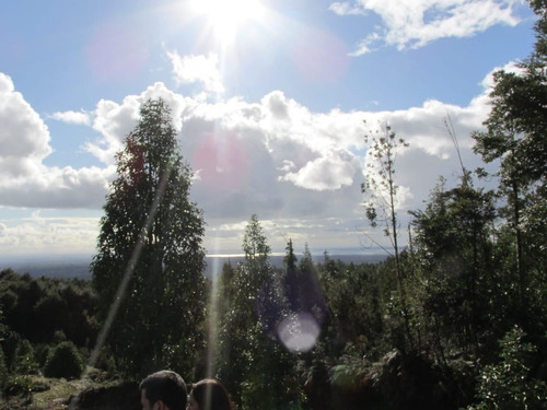 Parcela En Venta En Puerto Varas