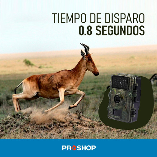 Camara Vigilancia Seguridad Caza Caceria Infrarroja Oculta ! Verde Oscuro