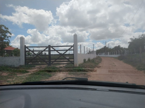 Imagem 14 de 30 de Granja A Venda Em Macaíba