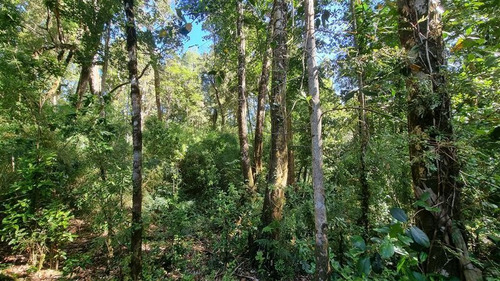 Parcela En Venta Lomas Del Mirador Puerto Varas