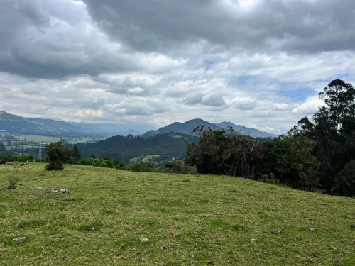 Venta Finca En La Vereda Salitre Alto En Guasca Cundinamarca-5876 (5876).