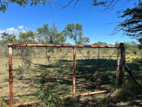Venta Campo Villa Quillinzo (40 Hectareas) Ideal Para Loteo