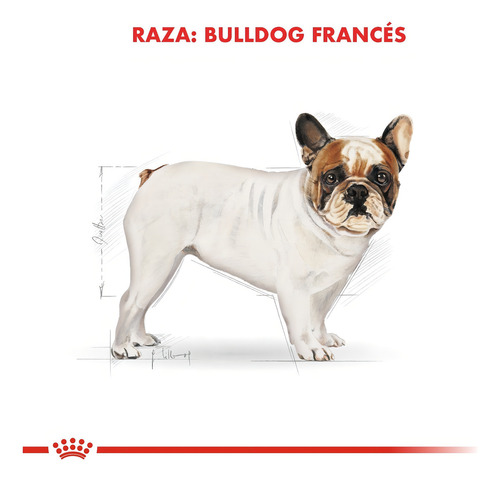 Royal Canin Bulldog Francés 7.5kg Alimento Seco Adulto