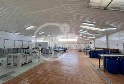 Terreno Construccion En Venta En Limache