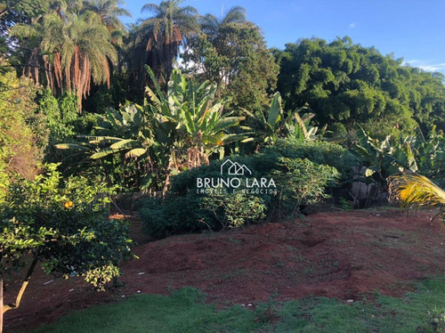Imagem 27 de 30 de Sítio À Venda Em Igarapé Bairro Miriti - Si0077