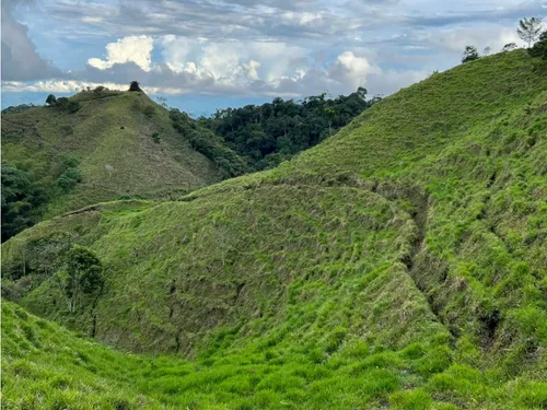 Venta De Finca En Vereda Paramillo, Fresno, Tolima