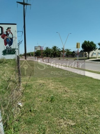 Imagen 2 de 4 de Se Vende Terreno En Sauce De Luna, Entre Rios