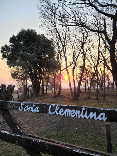 Casa De Campo-chacra-casa Quinta En Alquiler Temporario - Carmen De Areco