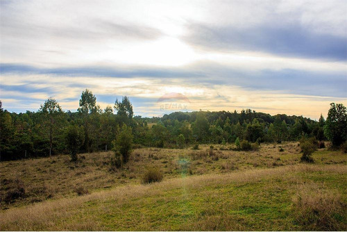 Imagen 30 de 30 de Parcela Disponible - Chiloe