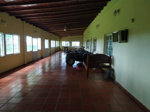 Imagen 13 de 14 de Finca En Venta Vía Sur Con Pista De Aterrizaje