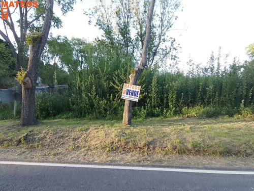Imagen 2 de 6 de Venta Lote Terreno En Mar Del Tuyu 94 E/ 12 Y 13