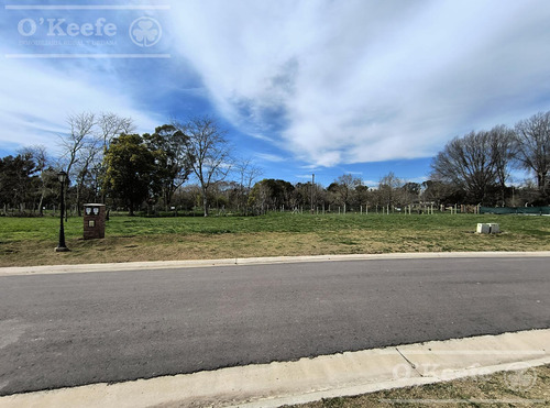 Oportunidad, Lote En San Juan Chico De 612 M2 Con Posesion Inmediata