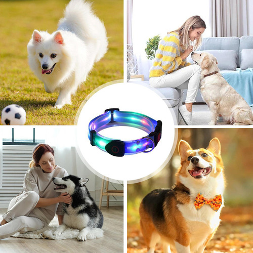 2025 Collar Con Luz Led Para Perros Collar Para Perros Que