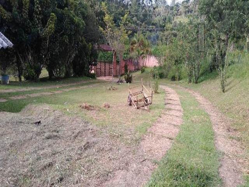 Imagem 11 de 14 de Cod 3611 - Sitio 30.000 Mts De Terreno Com Bosque - 3611