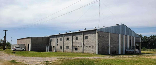 Nave Industrial - Zarate