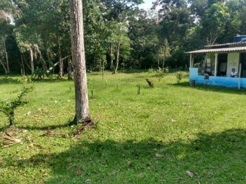 Imagem 10 de 10 de Boa Chácara No Jardim Coronel Em Itanhaém