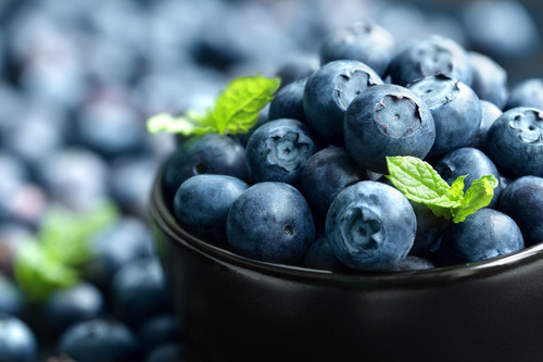 Imagem 4 de 10 de Blueberry Southern Mirtilo De Clima Quente Sementes P/ Mudas