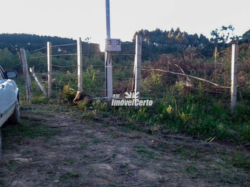 Imagem 15 de 16 de Chácara À Venda, 20000 M² Por R$ 450.000,00 - Areia Branca Dos Assis - Mandirituba/pr - Ch0012