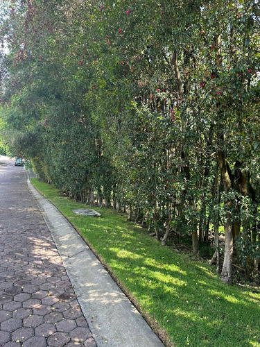 Terrenos En Venta En Colinas De San Javier En Zapopan, Jalisco