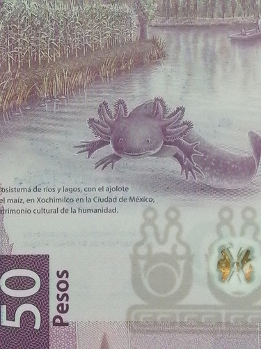2 Billetes 50 Pesos. Ajolote. Error De Impresión. Serie Ag