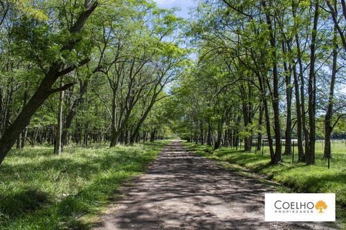 Imagen 3 de 30 de Terreno - Carmen De Areco